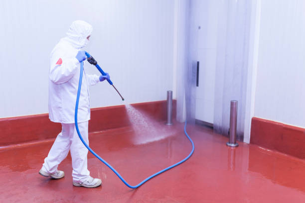 Professional Pressure Washing Services in Leadington, MO